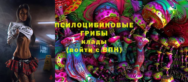 ешки Абаза
